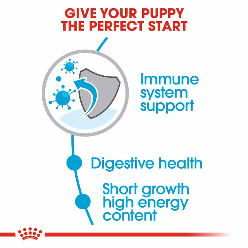 غذای خشک توله سگ رویال کنین مدل Medium Puppy نژاد متوسط