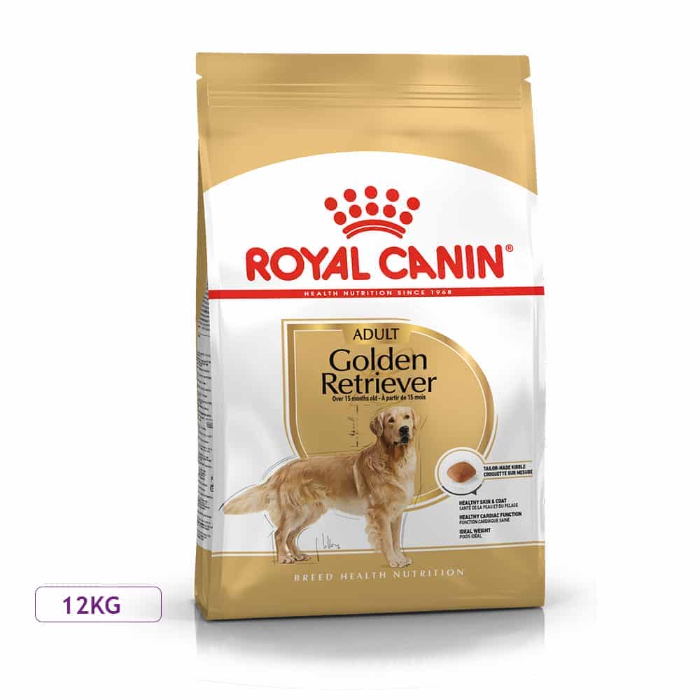 غذای خشک سگ رویال کنین مدل Golden Retriever Adult مناسب سگ رتریور بالغ