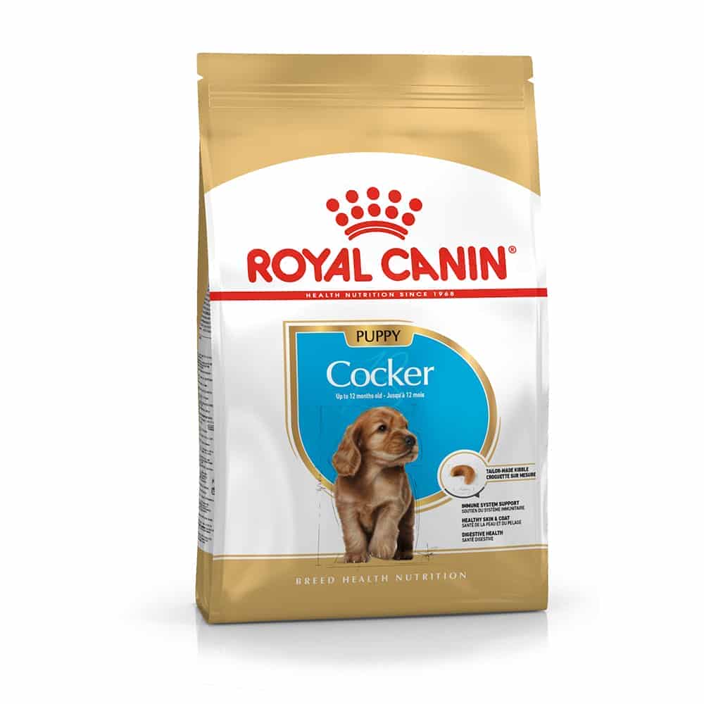 غذای خشک رویال کنین مدل Cocker Spaniel Puppy مناسب کوکر اسپانیل انگلیسی یا آمریکایی