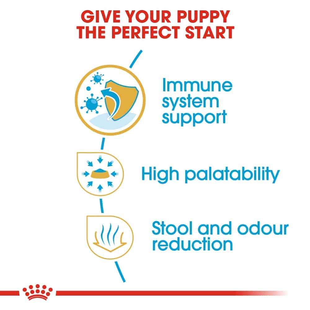 غذای خشک توله سگ رویال کنین مدل Chihuahua Puppy نژاد شیواوا