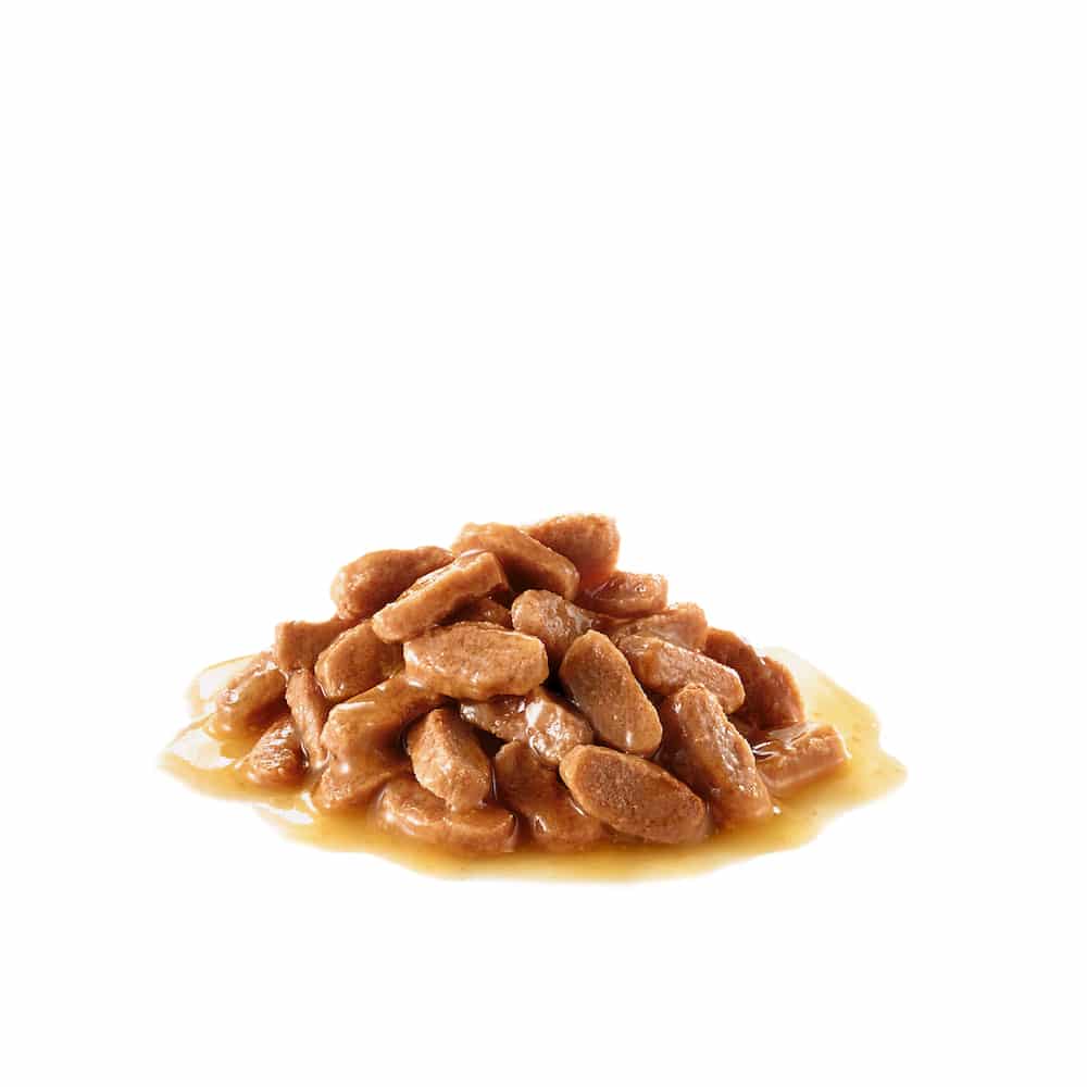 پوچ سگ رویال کنین مدل Sterilised مناسب سگ عقیم شده