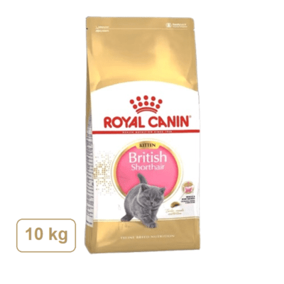 غذای خشک بچه گربه رویال کنین مدل British Shorthair Kitten مخصوص بریتیش مو کوتاه وزن 10 کیلوگرم