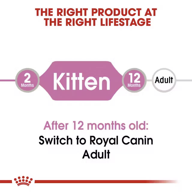 fhn-kitteninstinctivegravy-cv-eretailkit-1