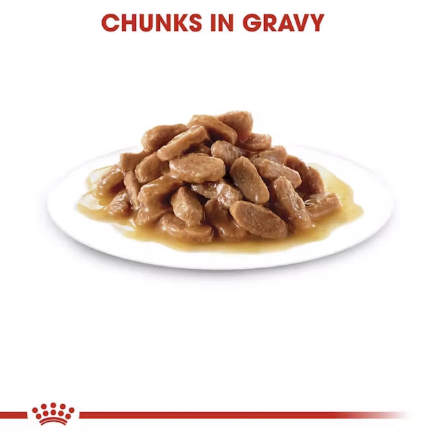 fhn-wet-kitteninstinctivegravy-cv-eretailkit-3