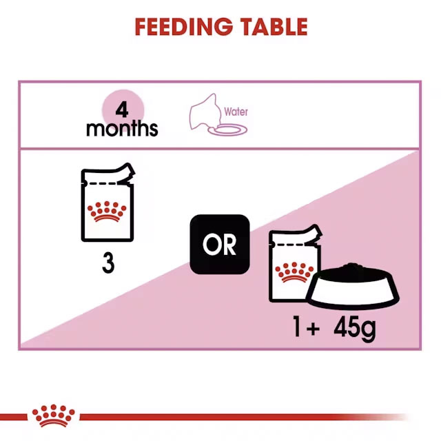 fhn-wet-kitteninstinctivegravy-cv-eretailkit-4