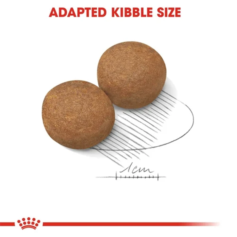 maxiadult10kg_3