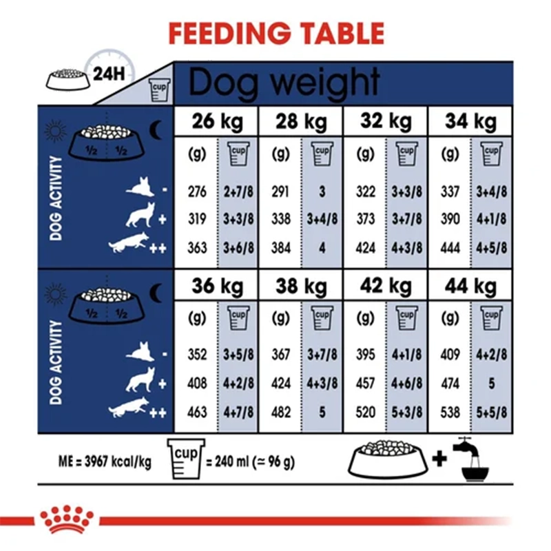 maxiadult10kg_4