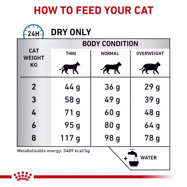 rc-vet-dry-catsensctrl-cv-page-5-en-gb
